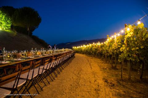 Appartementen Toscane wijngaard