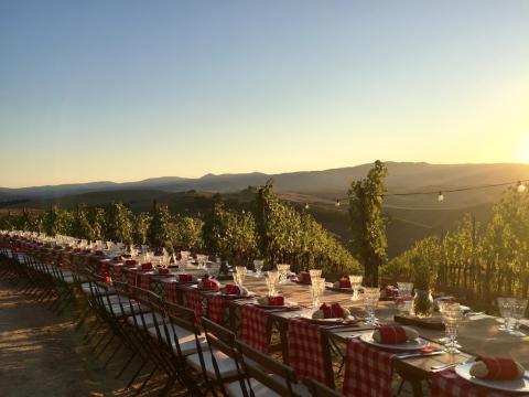 Appartementen wijngaard Toscane