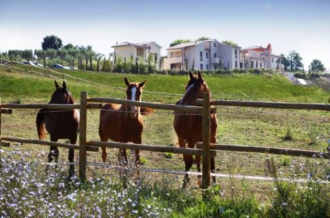 Vakantiewoningen met manege en zwembad in Toscane