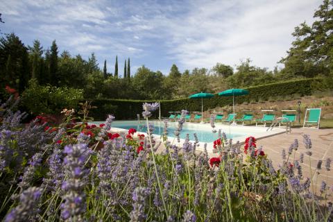 Villa Arezzo met zwembad