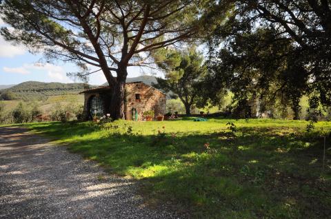 Voordelig geprijsd vakantiehuisje Toscane