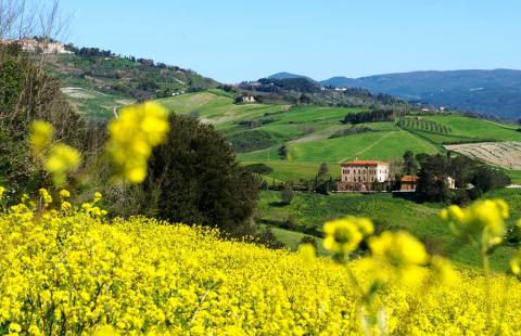 Luxe villa voor bruiloft of event nabij kust Toscane | Tritt.nl