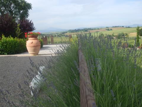 Villa met zwembad Toscane - Arezzo