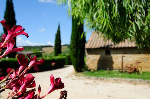 Agriturismo Siena Toscane | Tritt vakantiehuizen
