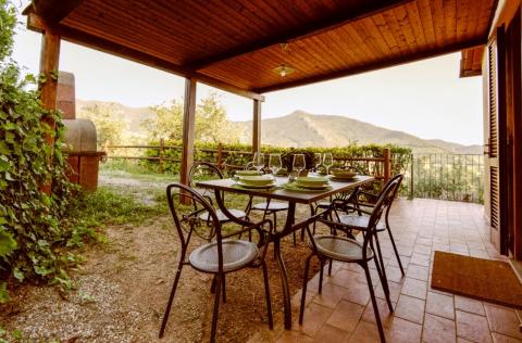 Vrijstaand vakantiehuis met zwembad vlakbij Pisa | Tritt.nl