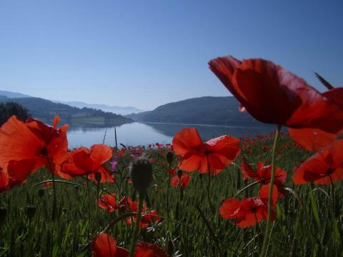 Let op met aankoop van nagemaakte merkartikelen in Italië
