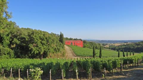 Nederlandse wijn in Toscane