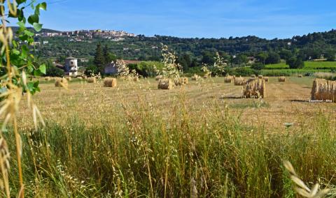 Wandelen en hiking: Tuscany Walking Festival