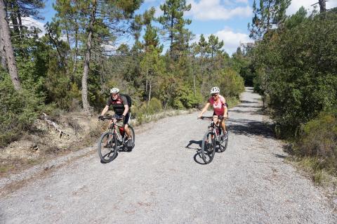 Wine & Bike: Een gastronomische tocht door de glooiende heuvels van Toscane!