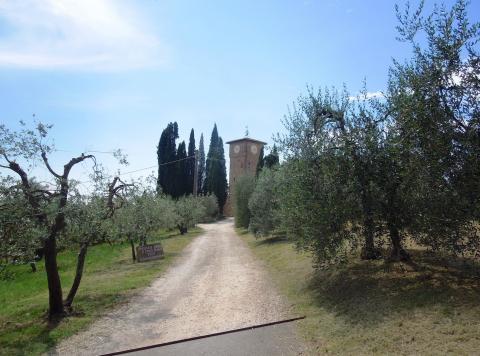 Fietsen in Toscane van Montespertoli naar San Gimignano (deel 2)