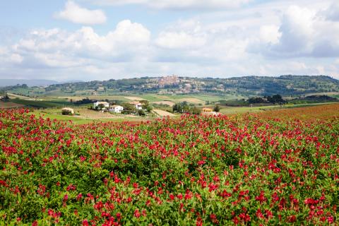 6 Tips voor Toscane in mei