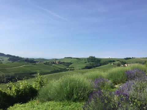 5 redenen om naar Piemonte te gaan