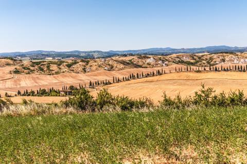 Serieus wandelen in Toscane: Deel 1 van de pelgrimsroute Via Lauretana van Siena naar Cortona