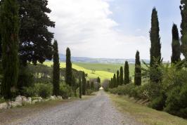 Toegangsweg naar de appartementen