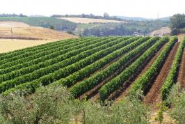 Agriturismo Grosseto Toscane