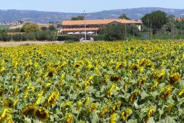 Agriturismo Zuid Toscane met zwembad