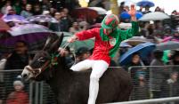 Siena Toscane: 'Palio dei Somari' altijd in Maart