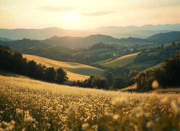 le marche