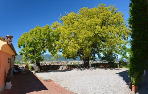 Agriturismo Monteverde, Ligurie