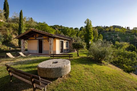 Umbrie agriturismo poggio degli olivi italie