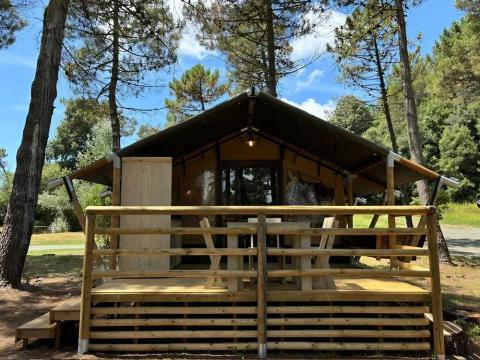 Glamping tent 4 personen