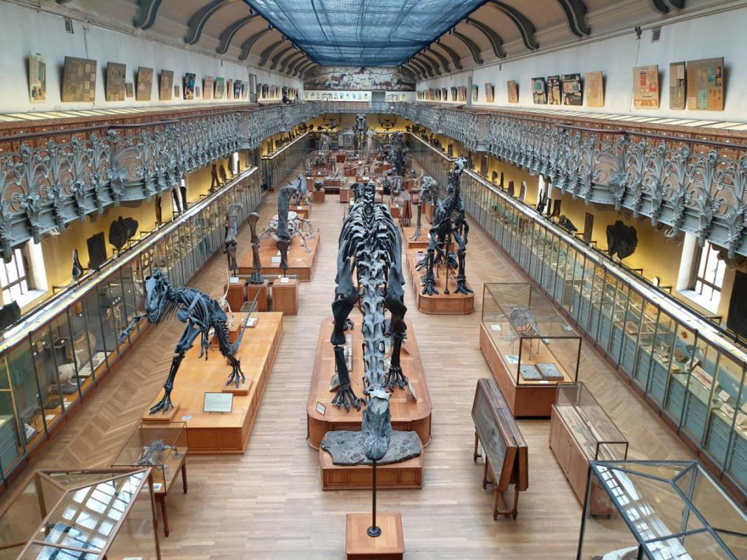 Museum kinderen Toscane