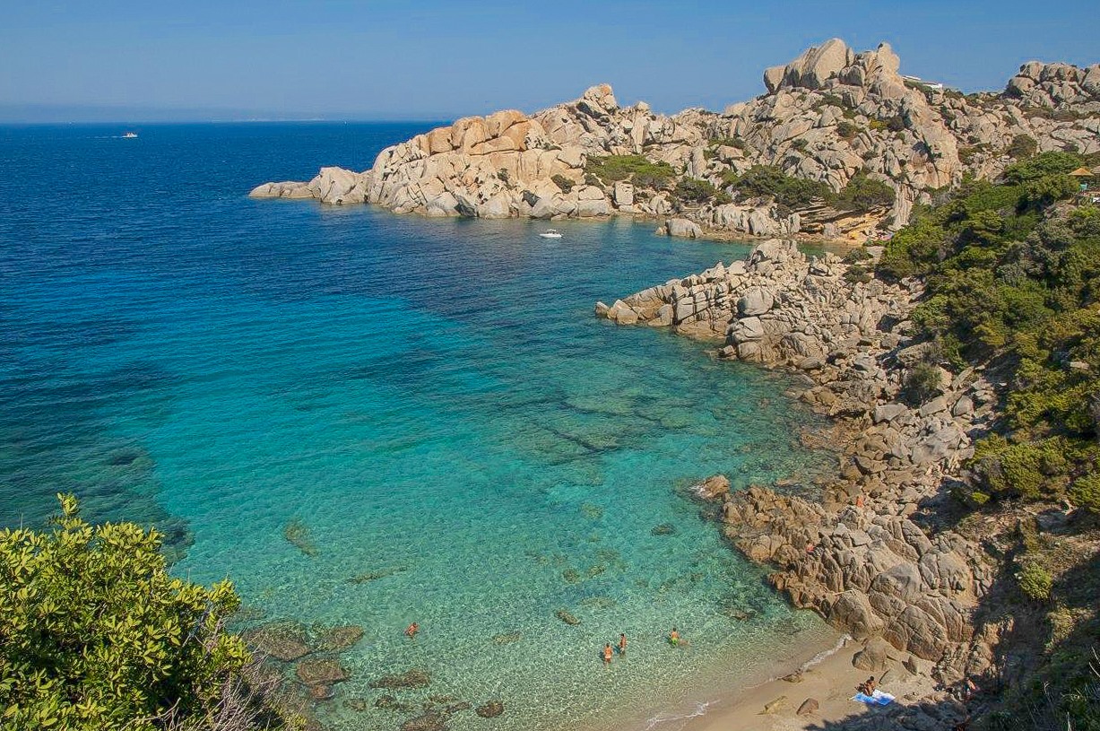 Cala spinosa