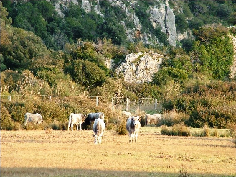 Wandelen, hiken, fietsroutes en wandelroutes in Toscane