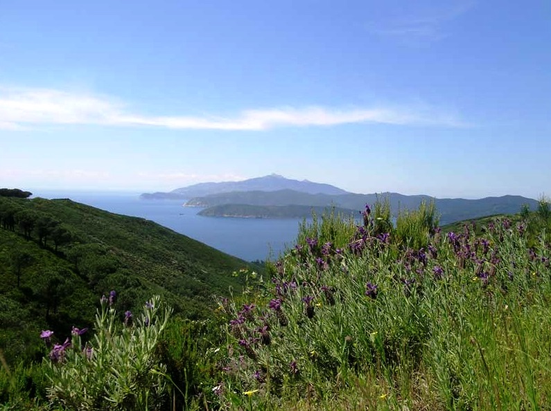 Beleef de bijzondere wandelingen op de eilanden van het Toscaanse Archipel in een vakantiehuis van Tritt!