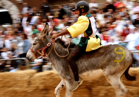 Siena, Toscane - de palio dei Somari